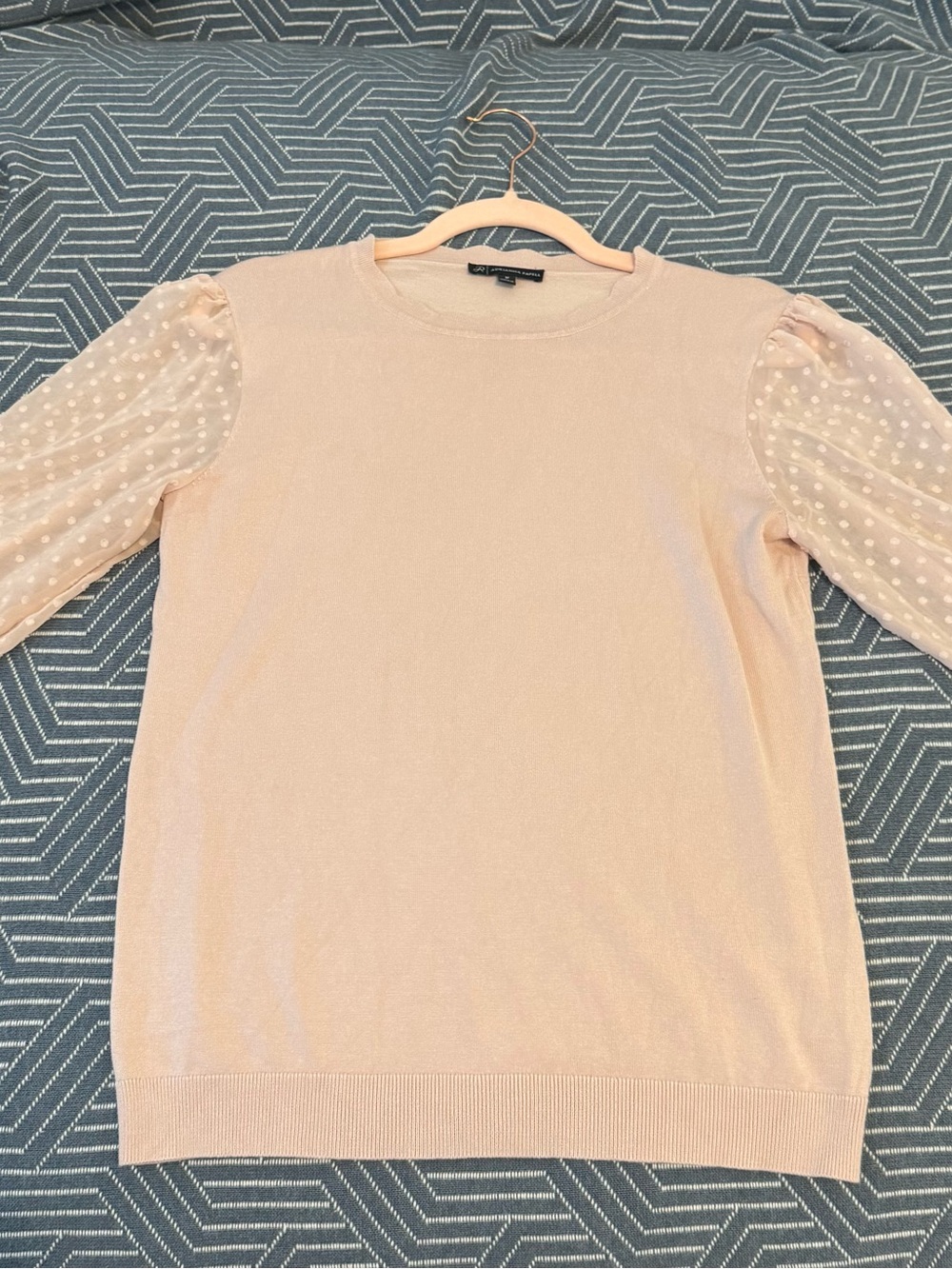 Adrianna Papell Blush Pink Swiss Dot Sleeve Sweater size Medium.